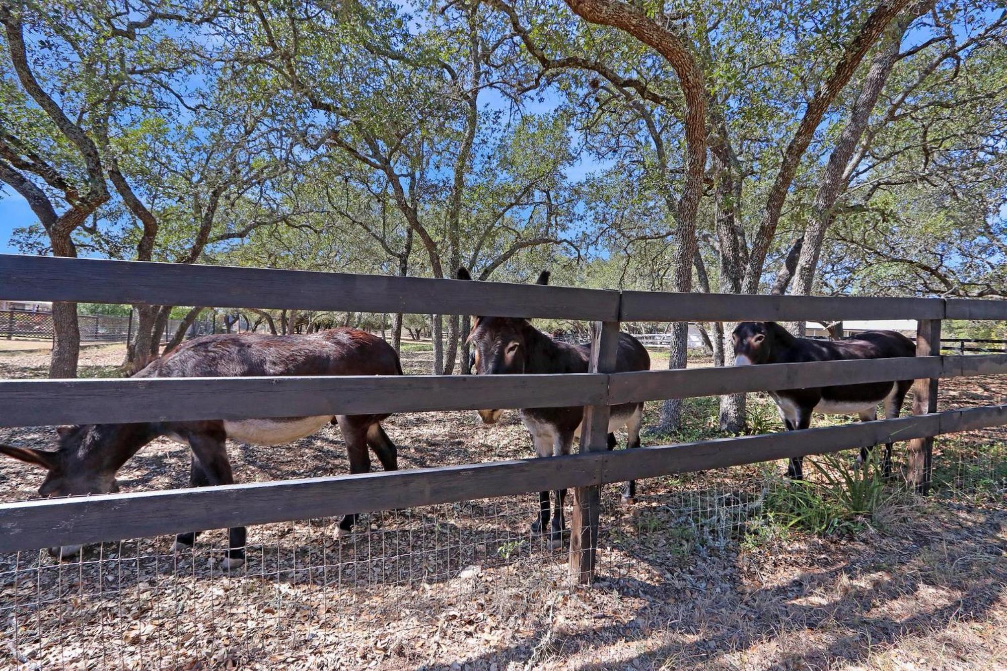 Red Donkey Cottage ويمبيرلي المظهر الخارجي الصورة